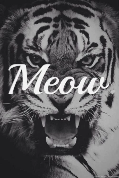 Tiger iPhone Backgrounds