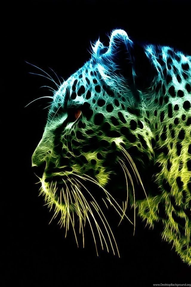 Top Colorful Tiger Wallpaper Images For Pinterest