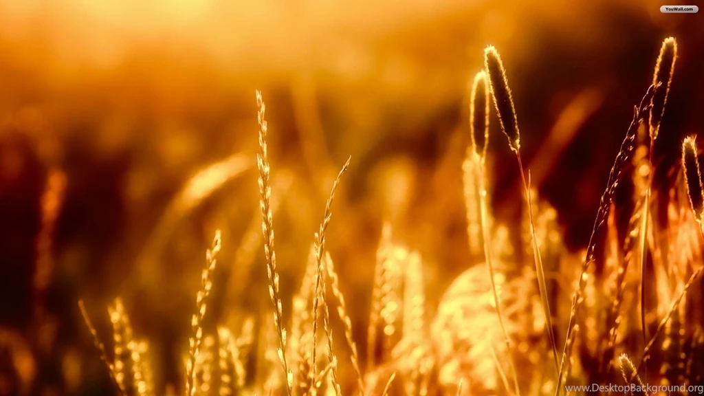 YouWall Evening Light Wallpapers Wallpaper,wallpapers,free ...
