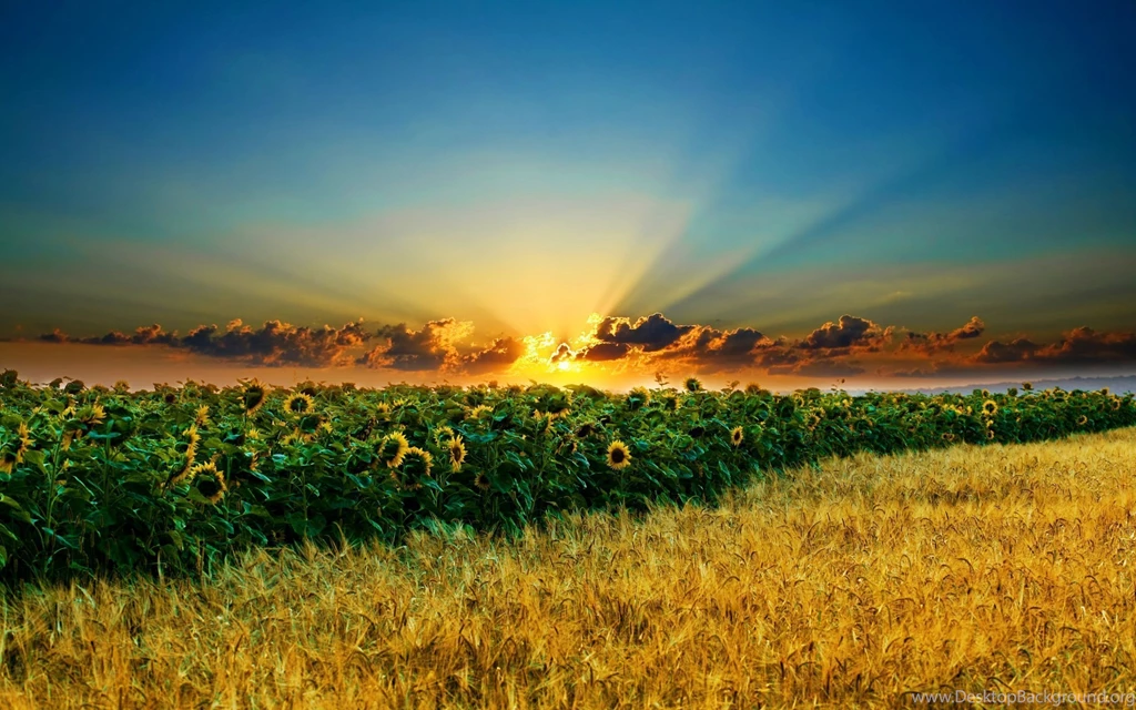 Backgrounds For Desktop Free