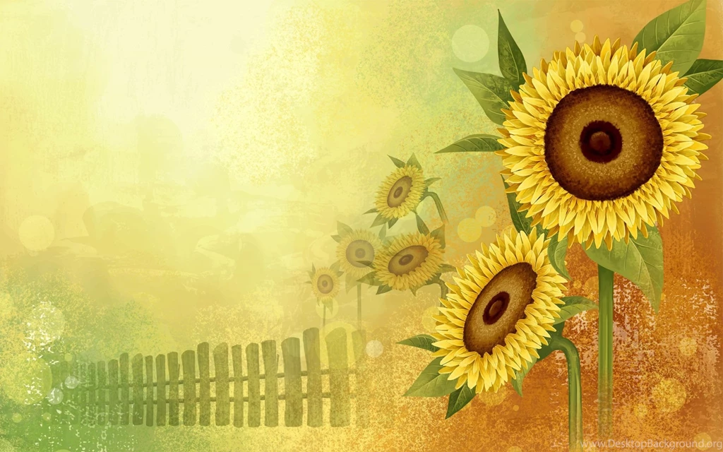 Sunflower Backgrounds
