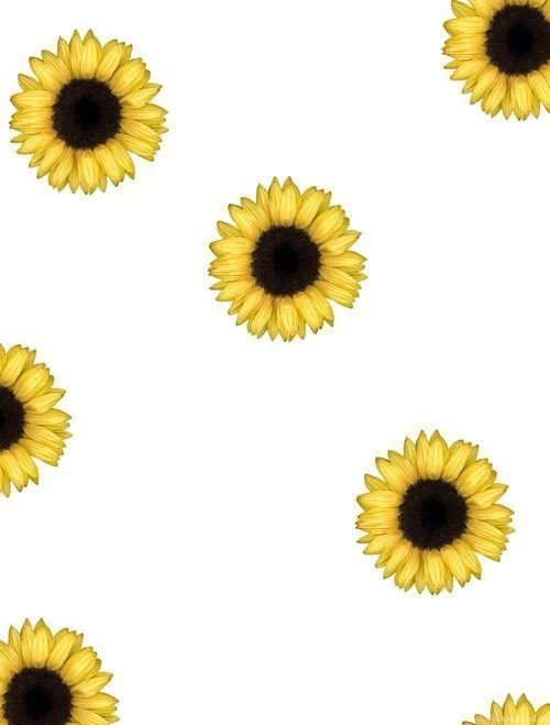 Sunflower Backgrounds