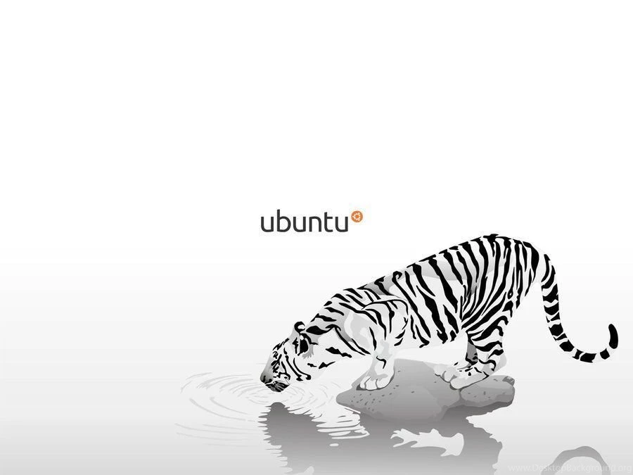 Ubuntu_wallpaper_by_virtu_axe d3ds2f8.jpg
