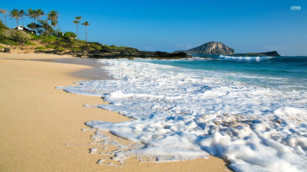 Foamy Sandy Beach Wallpapers Beach Wallpapers
