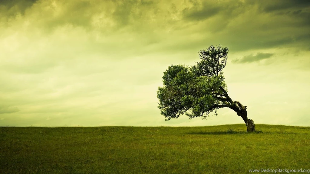 Laptop Desktop Backgrounds HD Images New