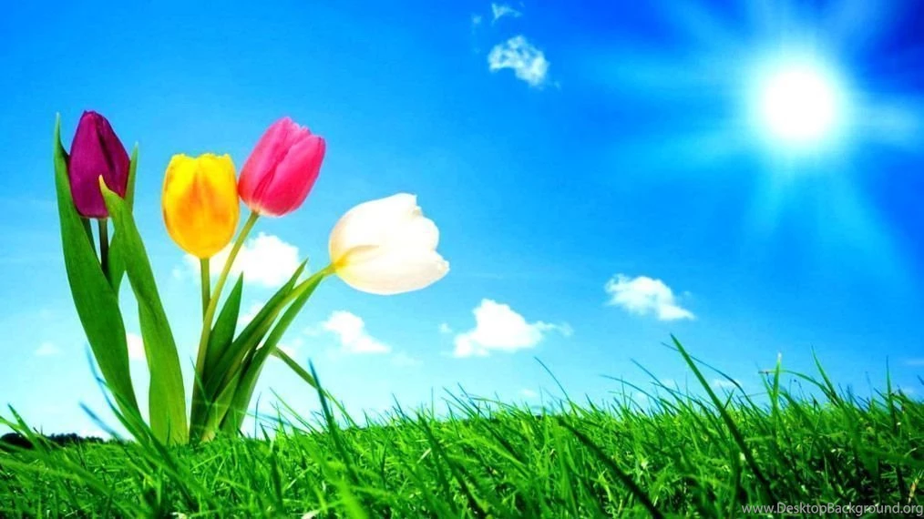HD Backgrounds Wallpapers For Laptop