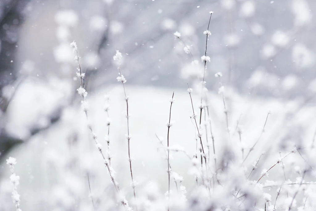 25 Gorgeous HD Winter Wallpapers HDWallSource.com