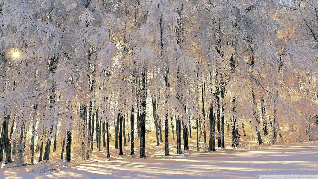 High Quality Winter Wallpapers