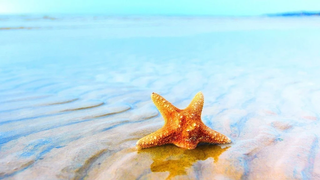 Summer Wallpapers Pics H78 WALLPAPEREL