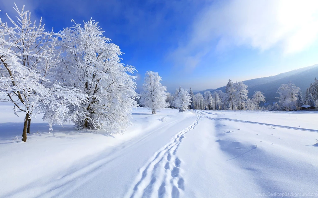 Road Winter Wallpapers