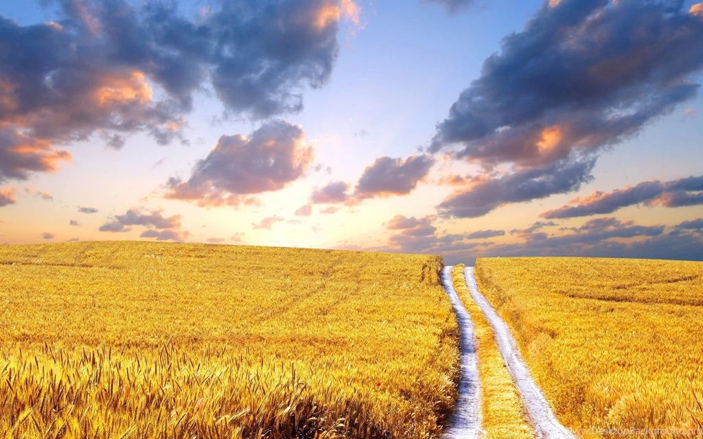 25 Stunning Summer Wallpapers