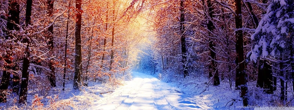 Winter Scenes HD Desktop Wallpapers : Widescreen : High Definition ...