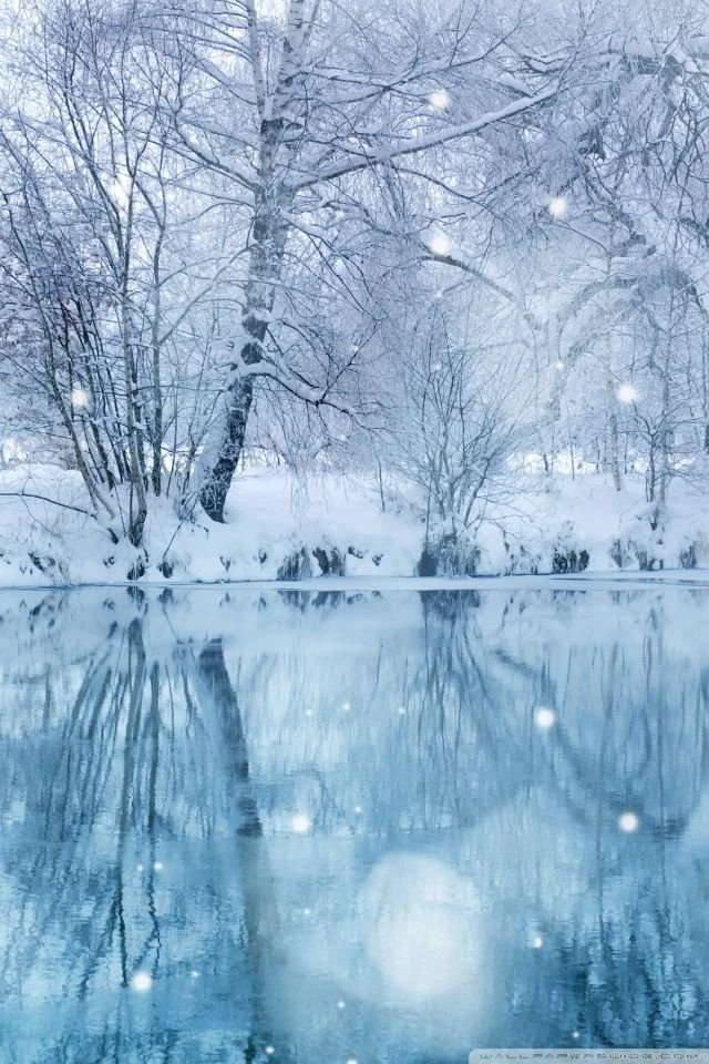 Winter Snowfall HD Desktop Wallpapers : High Definition : Mobile ...