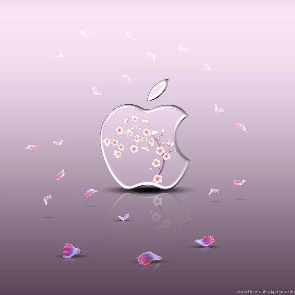 Ipad Wallpapers SaKuRa By LaggyDogg On DeviantArt