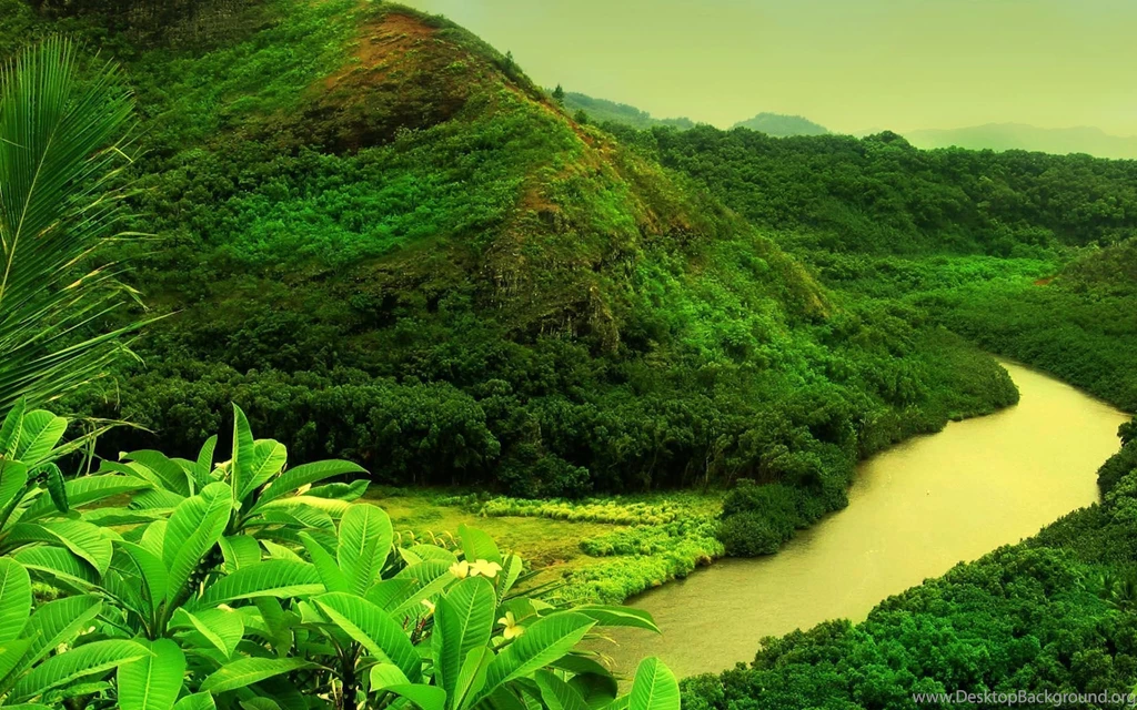 Green Nature Desktop Wallpaper, Green Nature Images