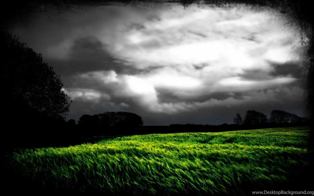 Green Nature Photos 1680x1050 Fantasy Green Desktop For Apple ...