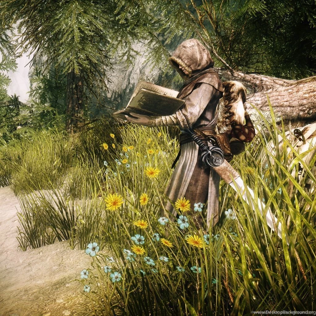Download Skyrim Reading A Book Wallpapers For IPad