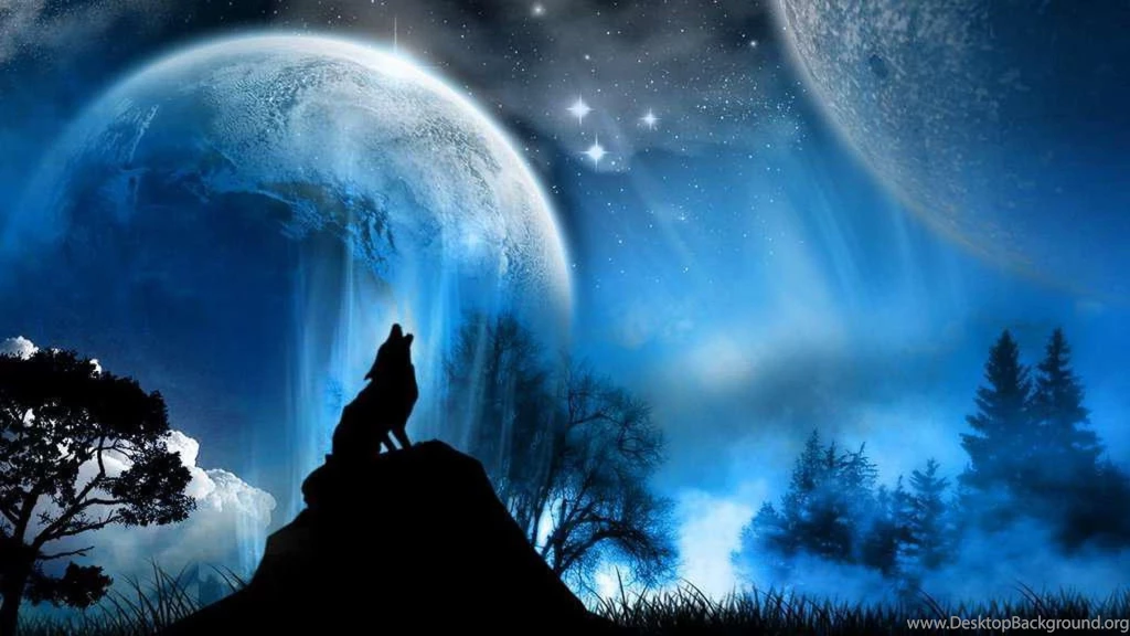 Wolf Wallpapers 1920x1080