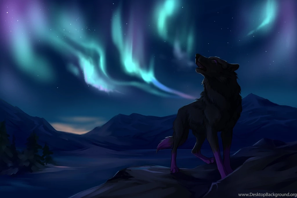White Wolf Wallpaper.
