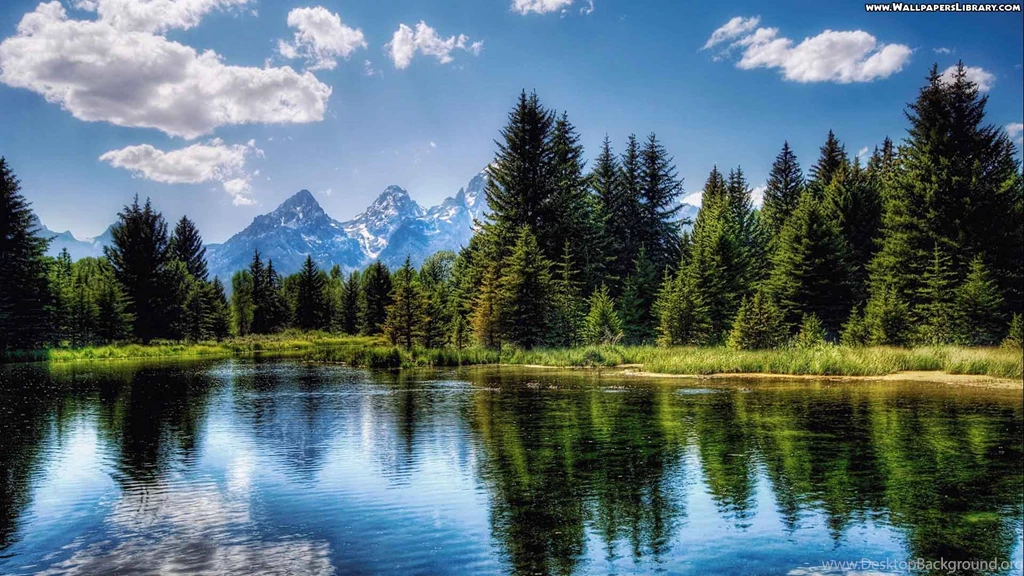 Spring Wallpapers 1920x1080