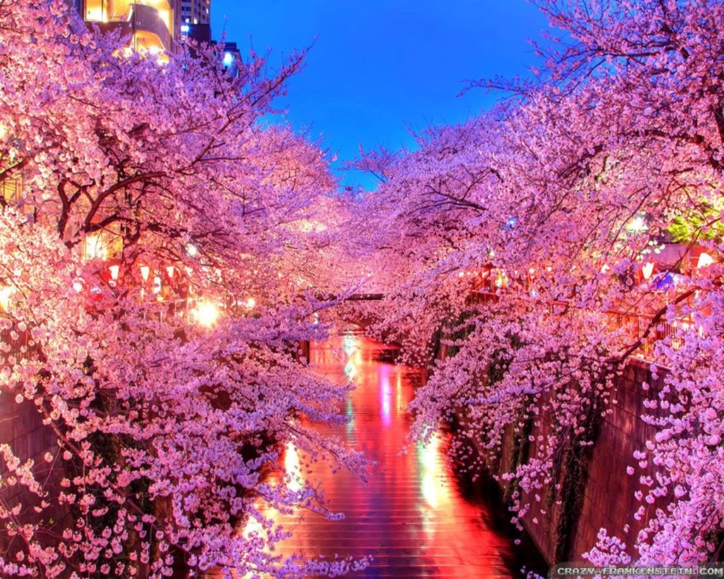 Spring In Japan Wallpapers Crazy Frankenstein