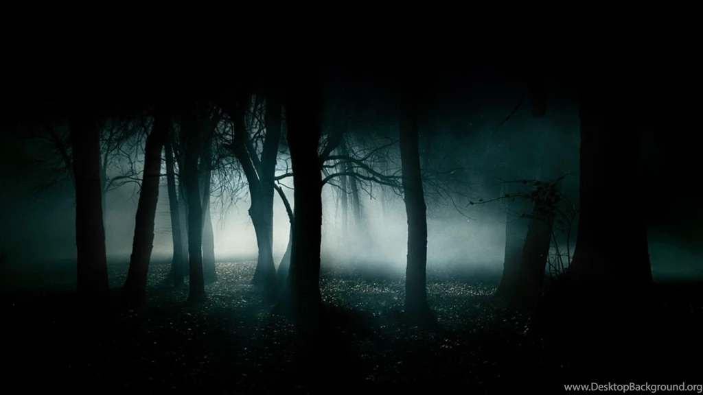 Dark Forest Wallpapers 1920x1080 (