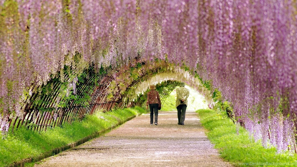 Spring Wallpapers