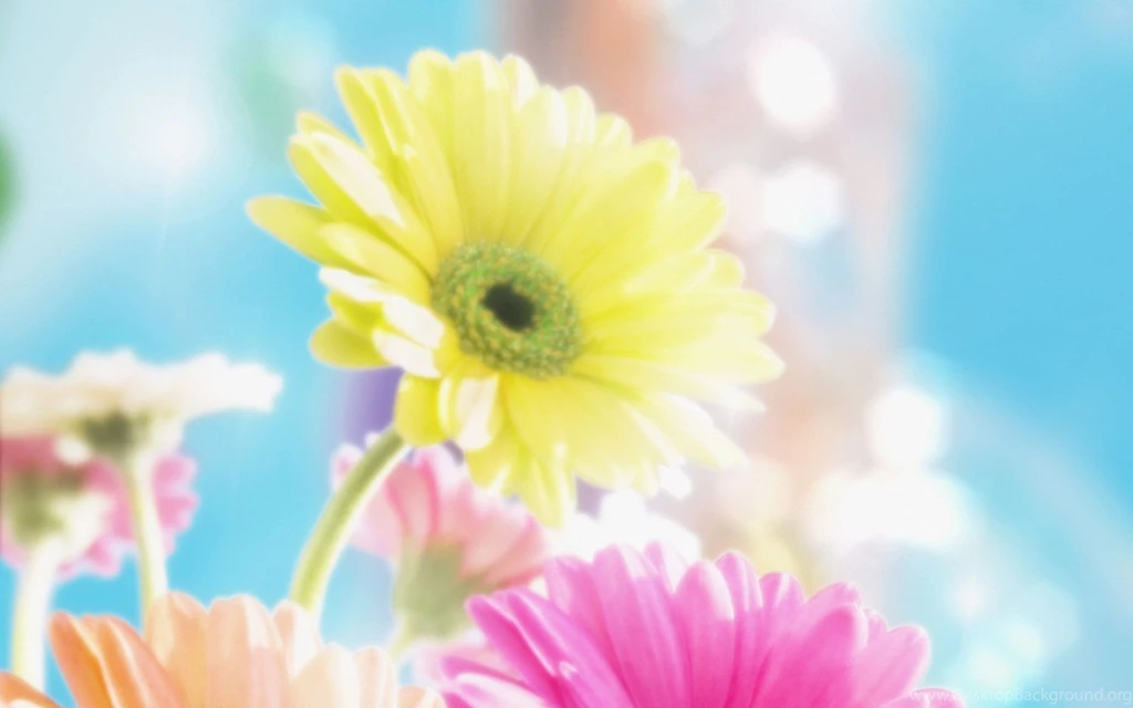Beautiful Spring Spring Wallpapers (27865795) Fanpop