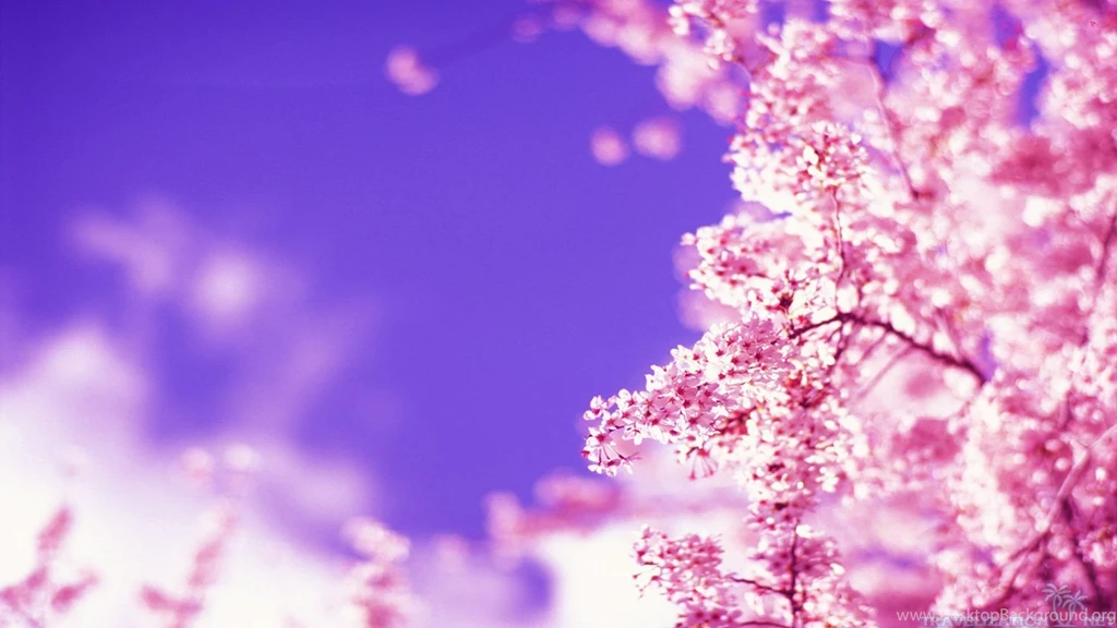 Beautiful Spring Wallpapers Wallmanage.com