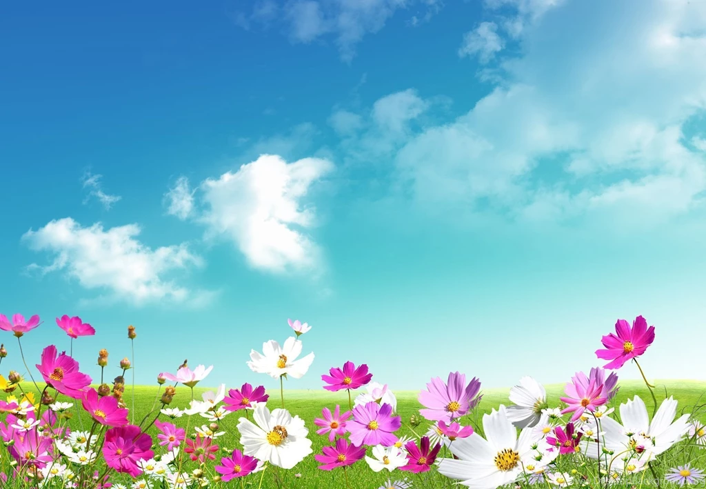 Spring Images_other_download Free Wallpapers