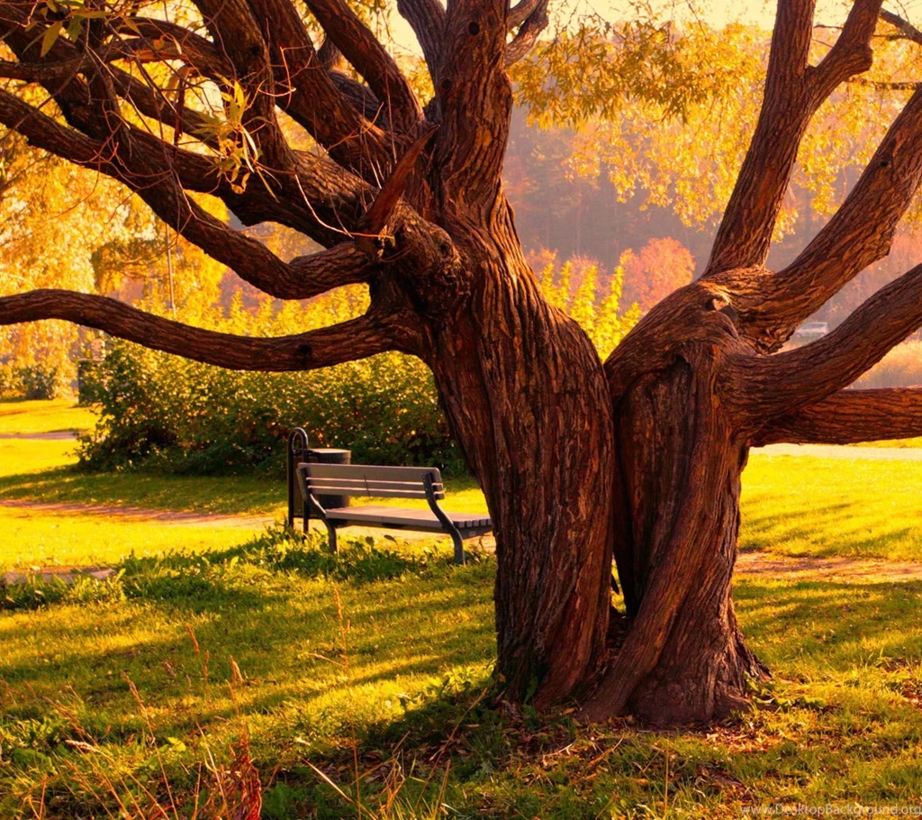 Galaxy S3 Wallpapers HD Beautiful, Stunning Wallpapers