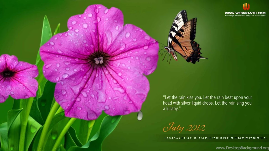 Free Wallpapers Desktop Computer