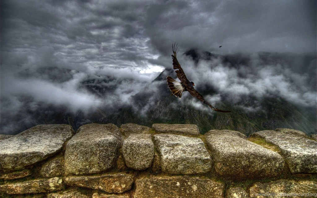 Free Wallpapers For Computer HD.jpg