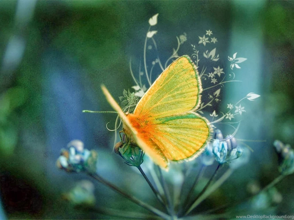 Free Wallpapers For Computer Screen Wallpapers HD Base