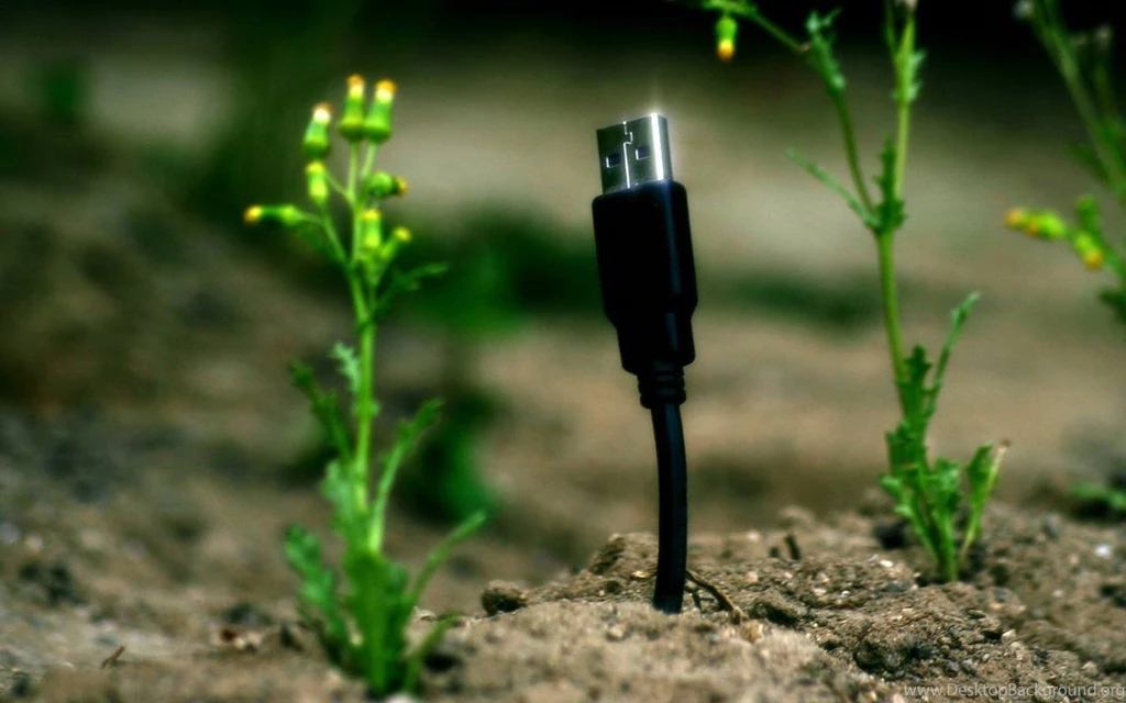 Nature Flowers Usb Tech Wallpapers (