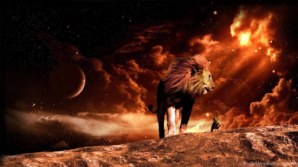 13 Lion HD Wallpapers