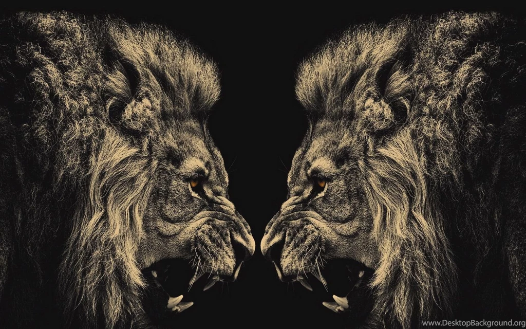 Art Abstract Lion Wallpapers Painting Wallpapers HD