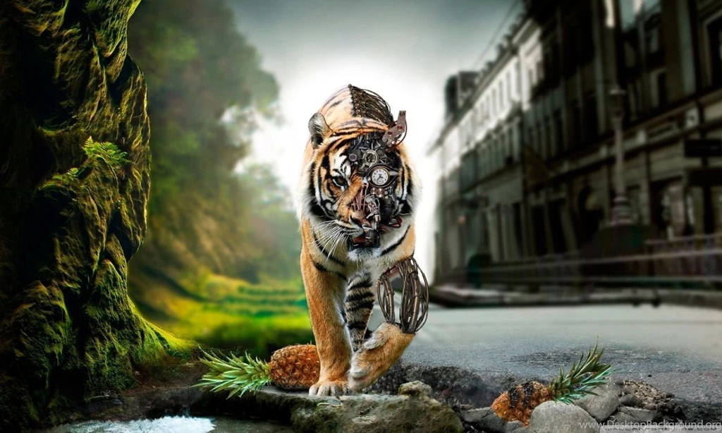 Amazing Lion HD Desktop Wallpapers : High Definition : Fullscreen ...