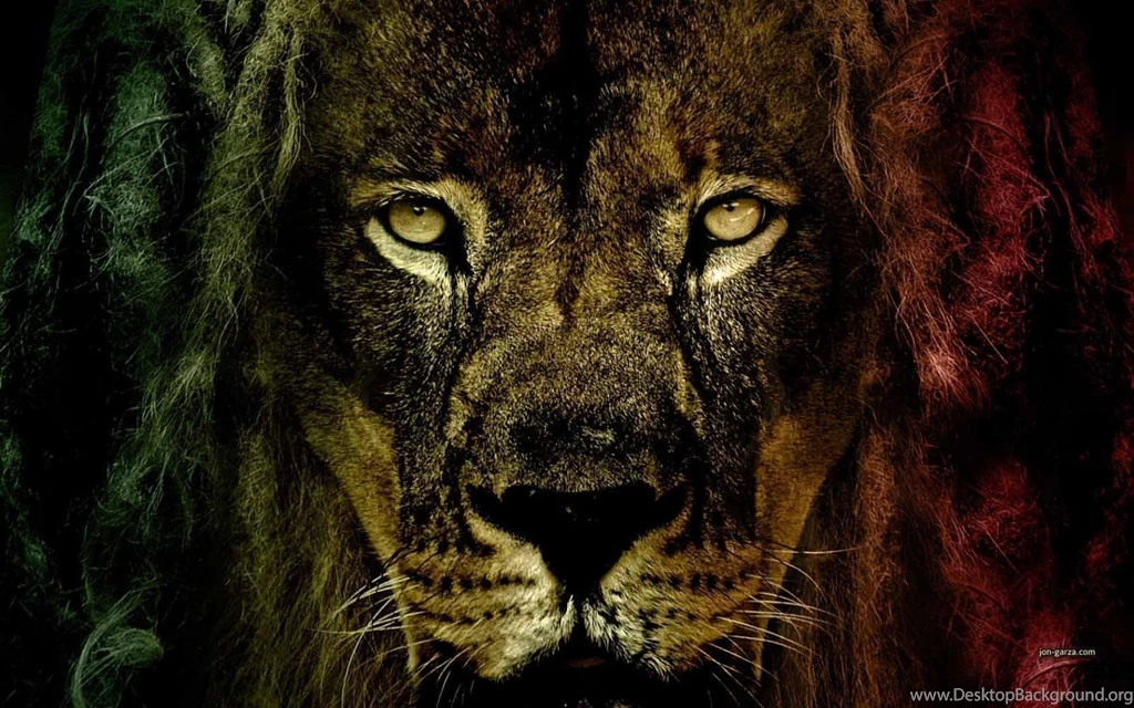 Rasta Lion Wallpapers