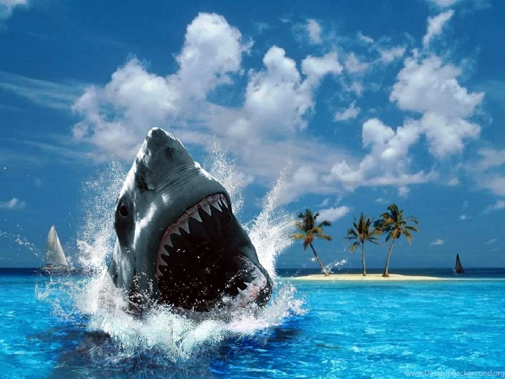 Shark ♥ ~ Sharks Wallpapers (10311334) Fanpop