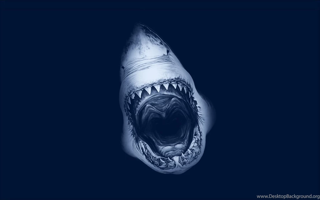 Shark Attack Art Wallpapers