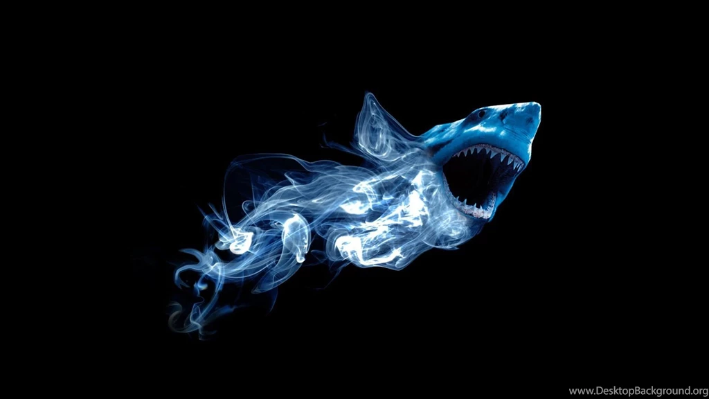Shark, Pinterest, Artwork, 1920x1080 HD Wallpapers And FREE Stock Photo