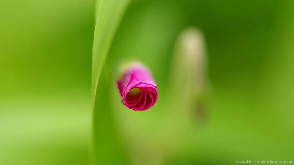 Desktop Wallpapers · Gallery · HD Notebook · Laptop Backgrounds ...