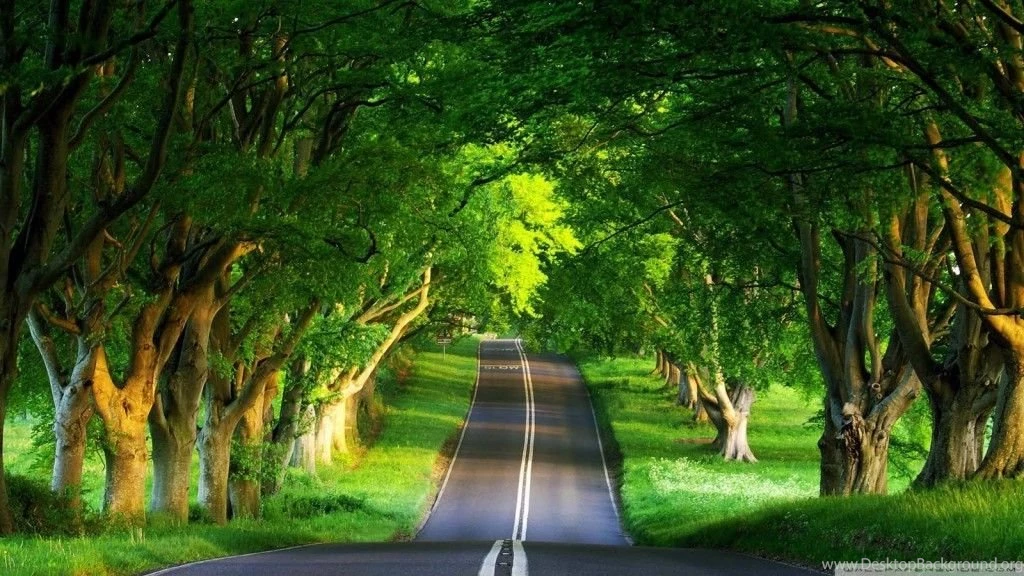 Wallpapers Download For Laptop_hd Wallpaper_download Free Wallpapers