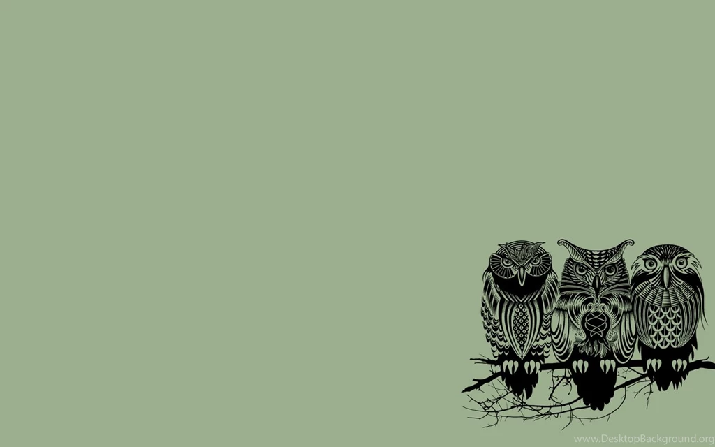 Owl Wallpapers For Computer