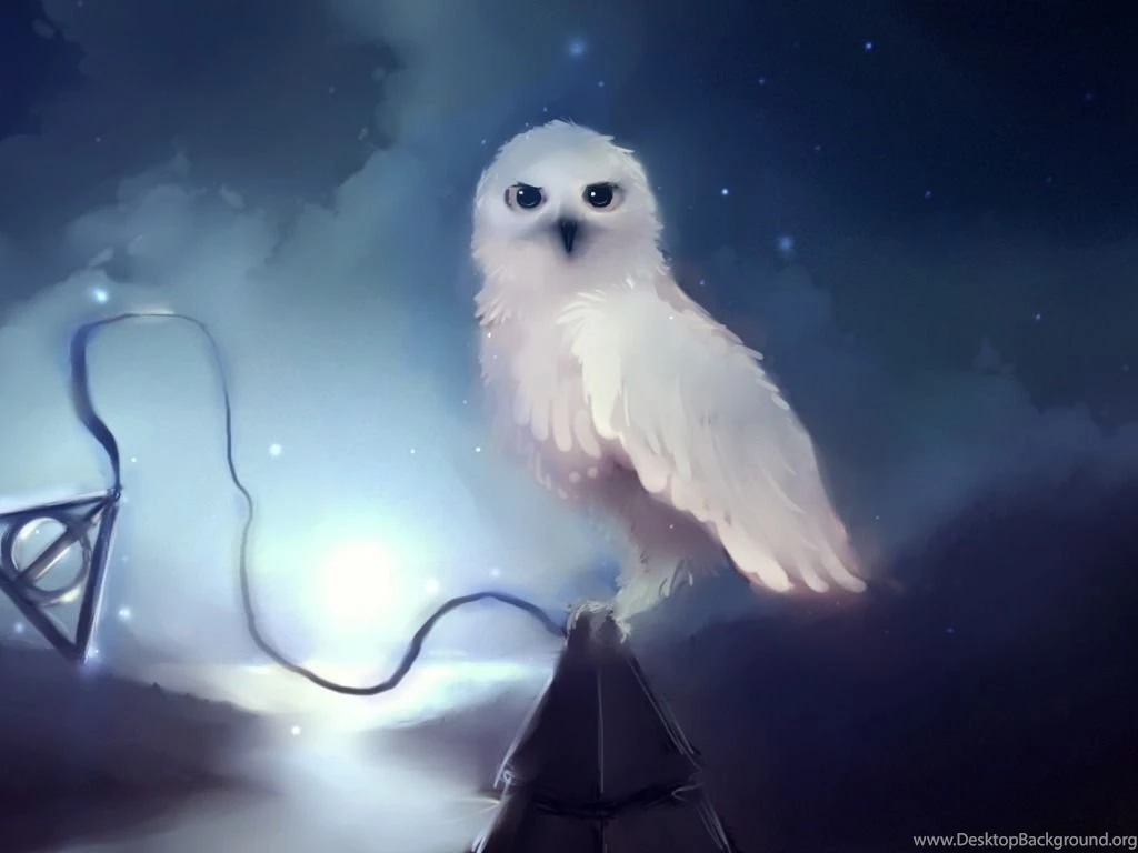 Owl Wallpapers For Desktop Backgrounds