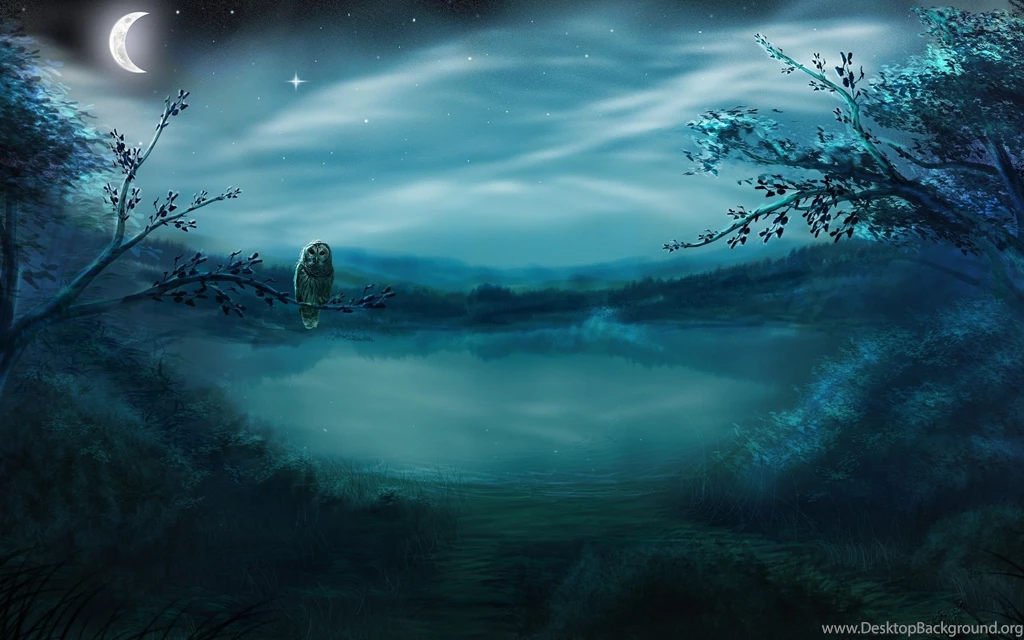 Owl On A Branch By The Lake Desktop Wallpapers 18237
