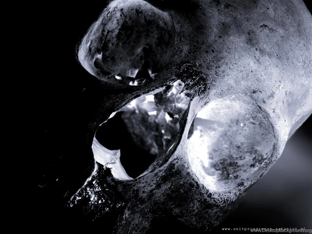 Free Desktop Wallpaper, Negative Picture Of An Old Skull.