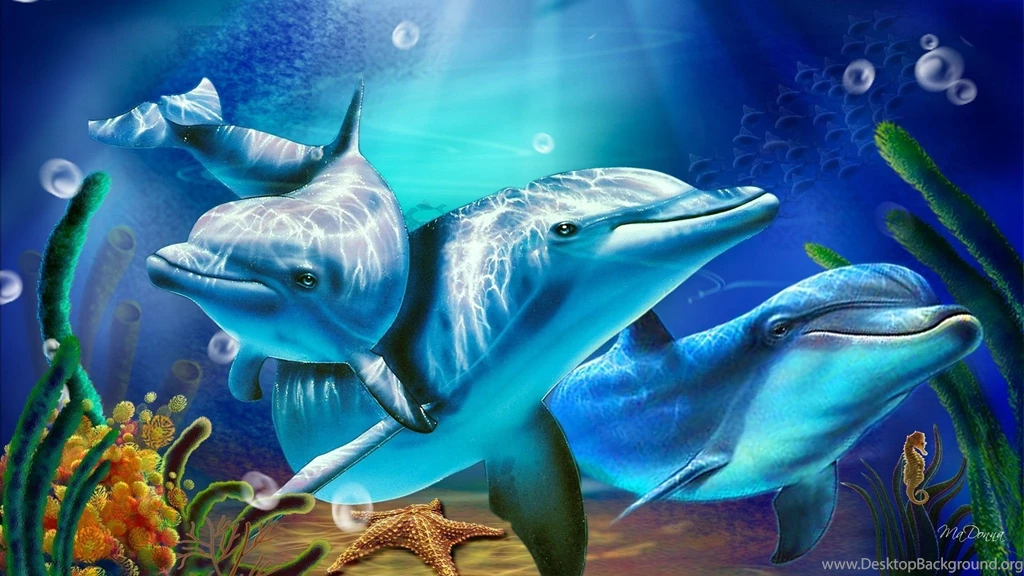 Free Dolphin Wallpapers For Desktop
