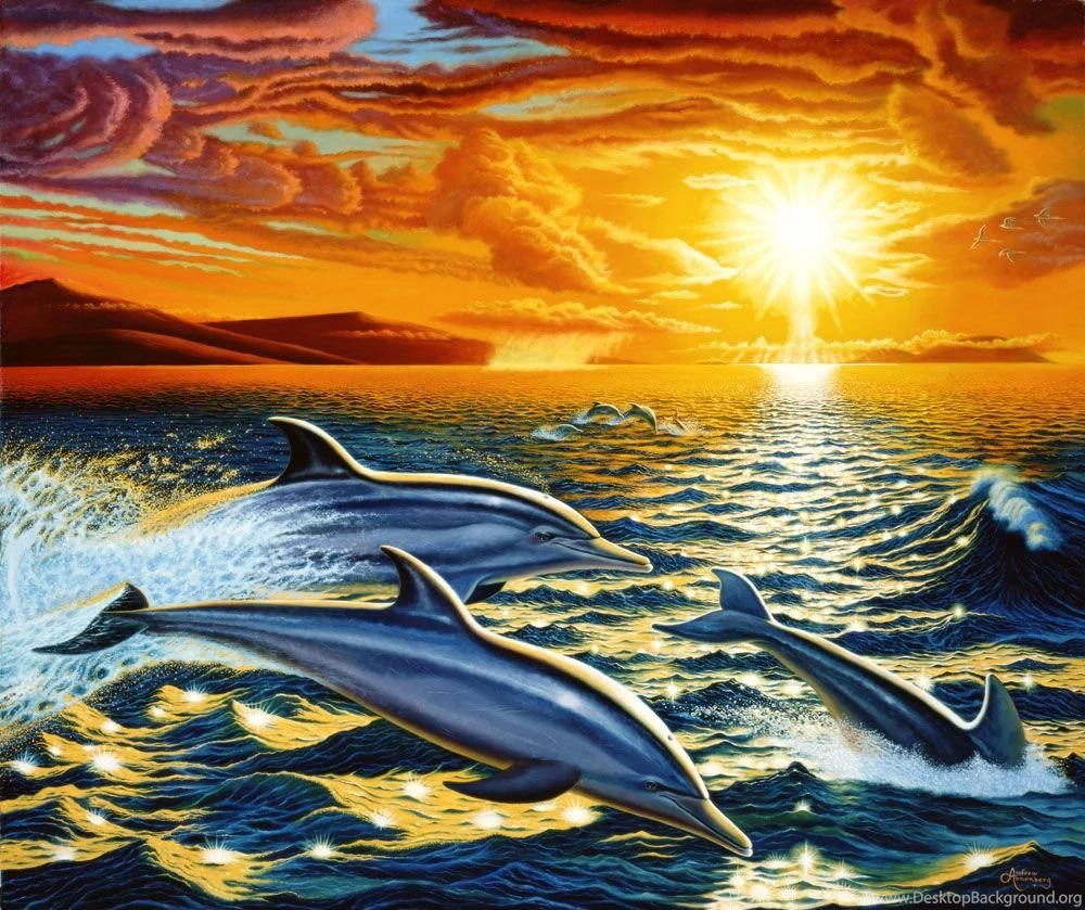 3d Dolphin Wallpapers Dolphin Dream